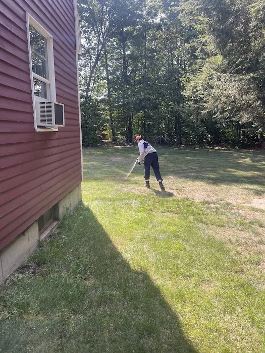 Fox Pest Control Westbrook Picture 5