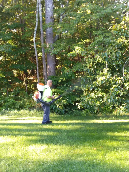 Top Leaf Tree LLC Picture 7