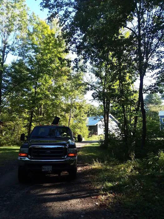 Top Leaf Tree LLC Picture 3