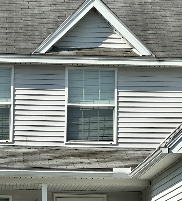 Orkin Picture 7