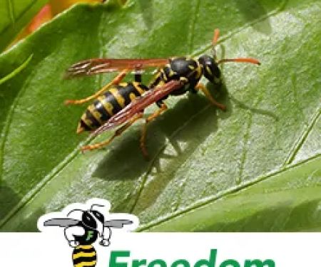 Freedom Pest Control