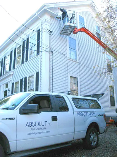 Absolut Pest Control Picture 1