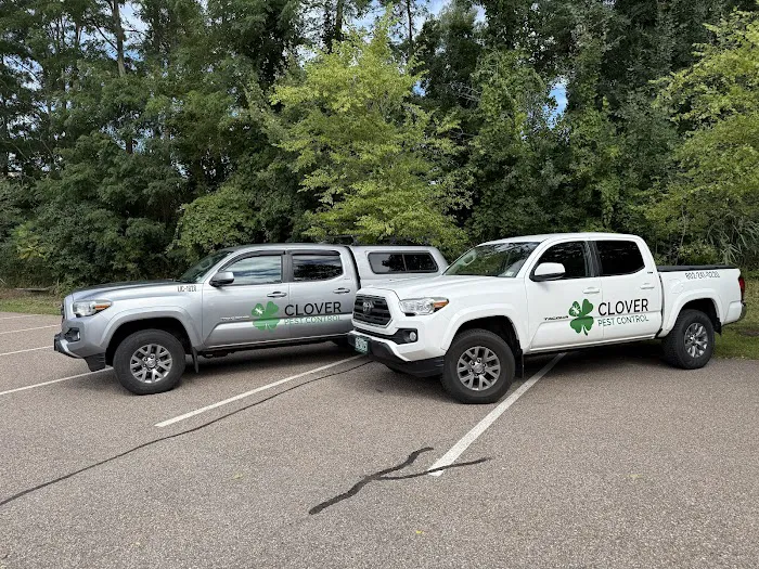 Clover Pest Control Picture 6