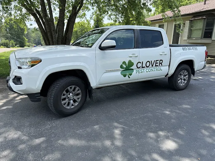 Clover Pest Control Picture 2