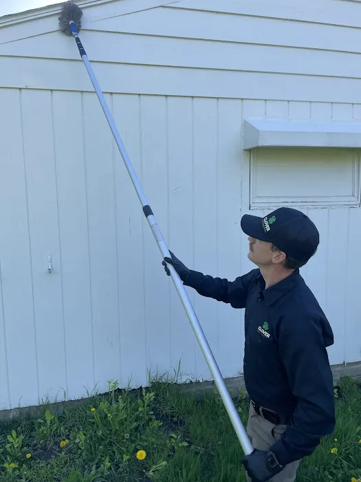 Clover Pest Control Picture 1