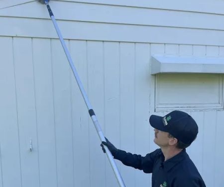 Clover Pest Control