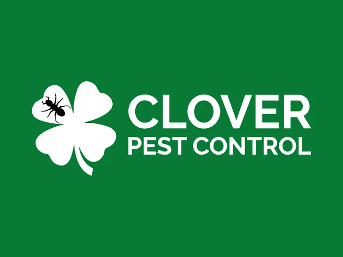 Clover Pest Control Picture 4
