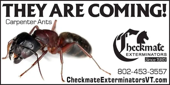 Checkmate Exterminators Picture 1
