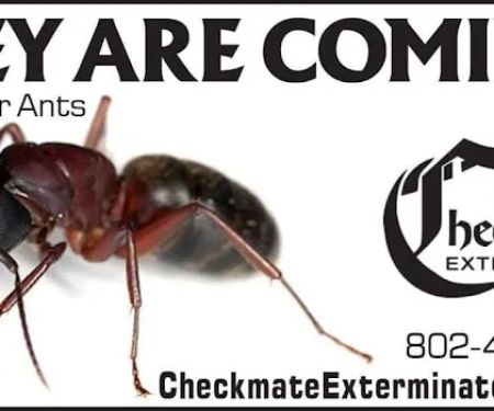 Checkmate Exterminators