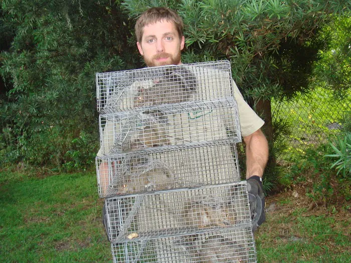 Wildlife Removal Burlington Picture 10