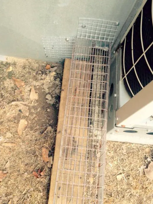 Wildlife Removal Burlington Picture 1
