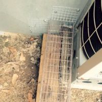 Wildlife Removal Burlington ico