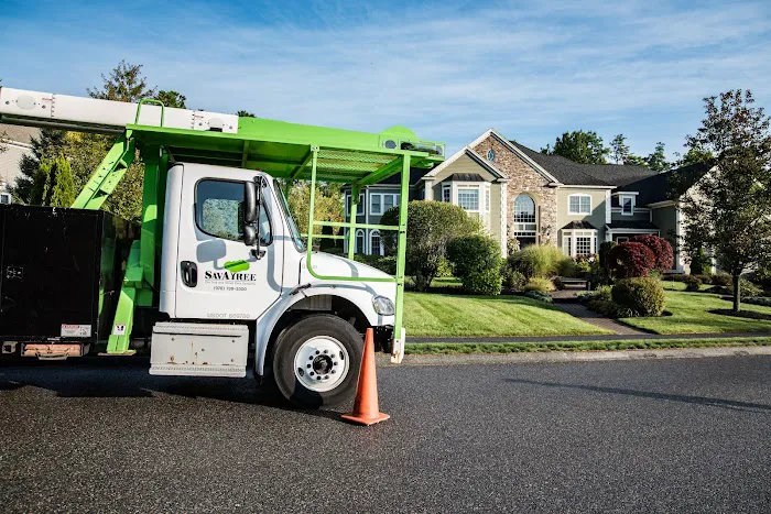Barrett's Tree Service - SavATree Picture 9