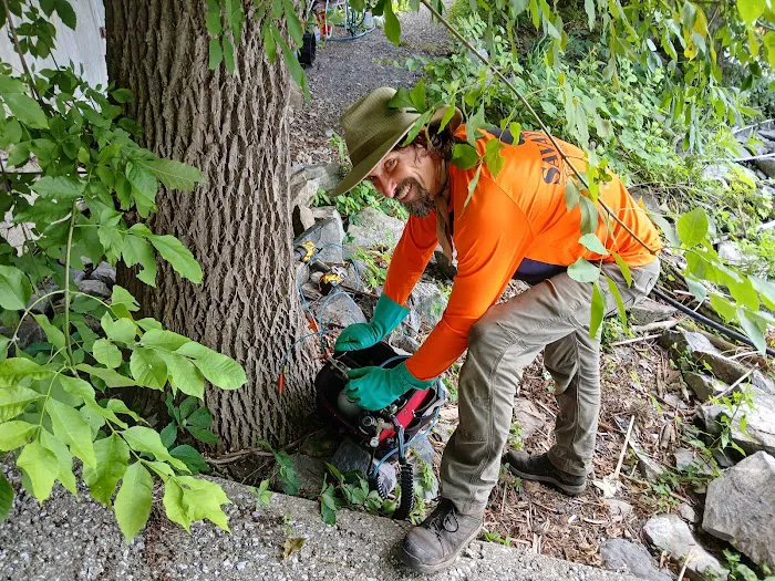 Barrett's Tree Service - SavATree Picture 1