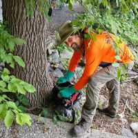 Barrett's Tree Service - SavATree ico