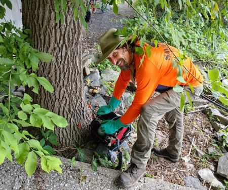 Barrett's Tree Service - SavATree