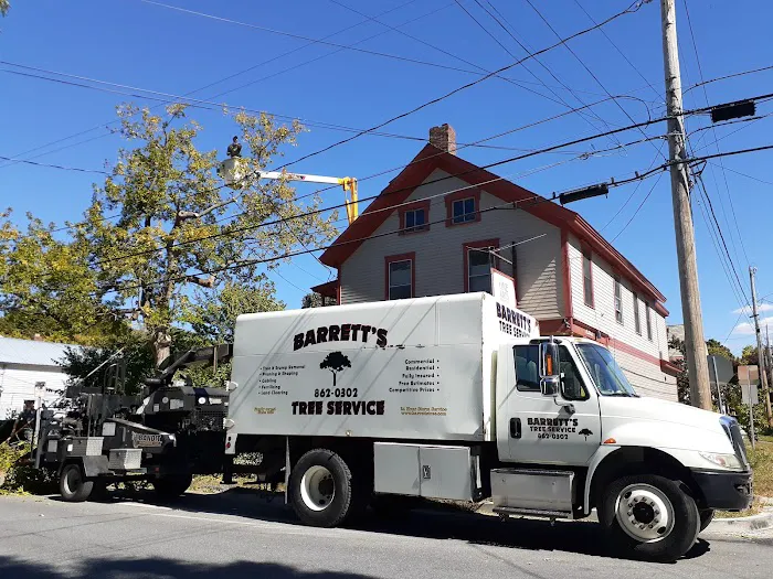 Barrett's Tree Service - SavATree Picture 10