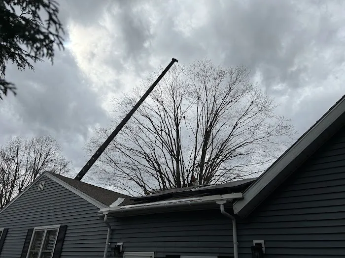 Barrett's Tree Service - SavATree Picture 5
