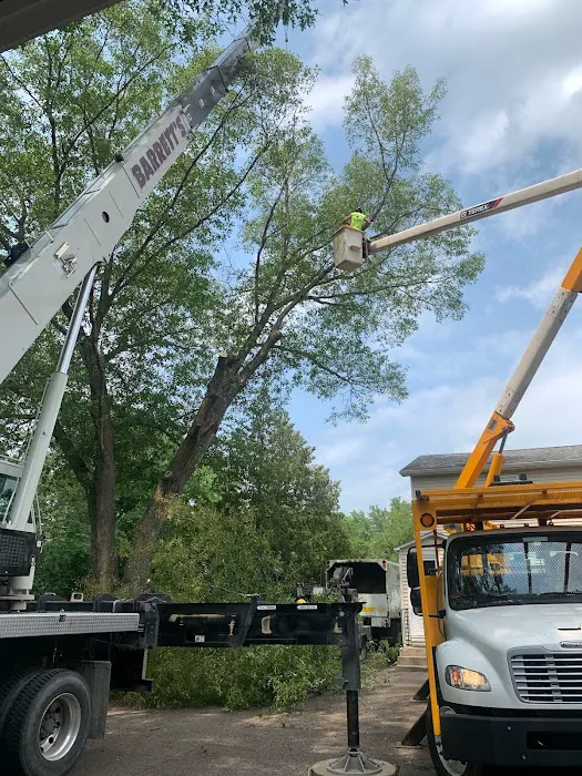Barrett's Tree Service - SavATree Picture 3