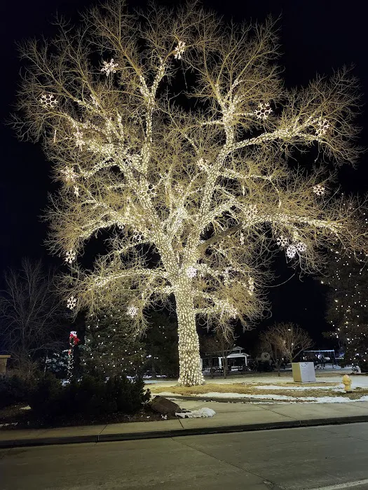 Barrett's Tree Service - SavATree Picture 6