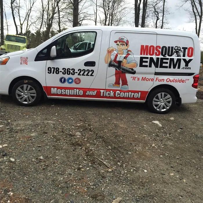 MOSQUITO ENEMY Picture 10