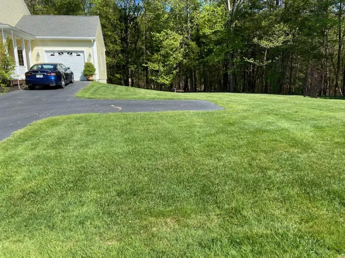 Seacoast Turf Care Picture 7