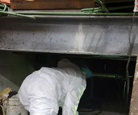 Buono Pest Control Co., Inc.