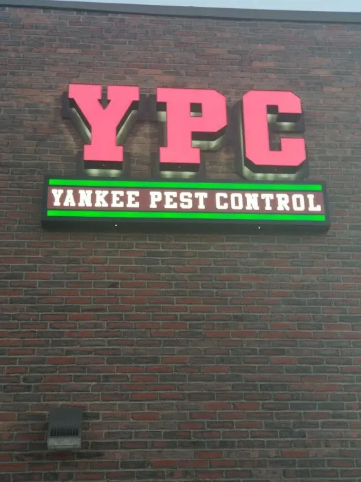 Yankee Pest Control Picture 10