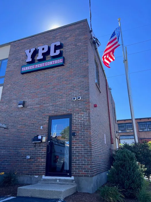 Yankee Pest Control Picture 4
