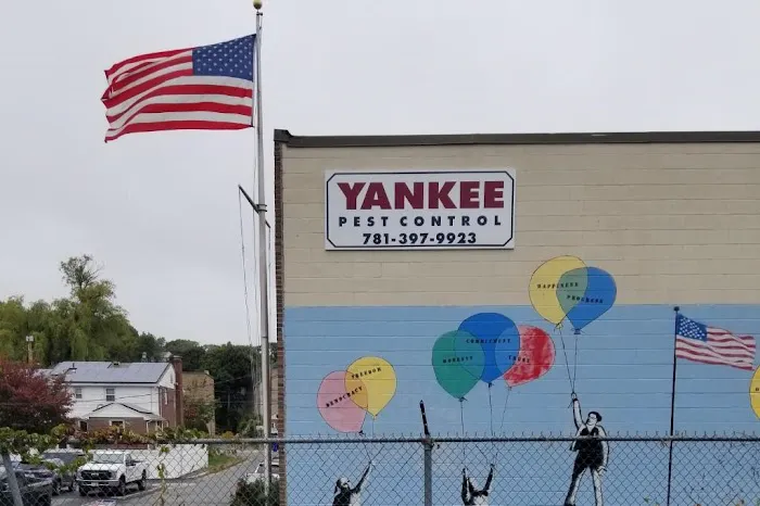 Yankee Pest Control Picture 1