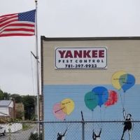 Yankee Pest Control ico