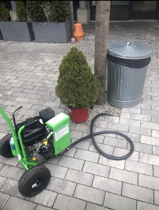 Yankee Pest Control Picture 2