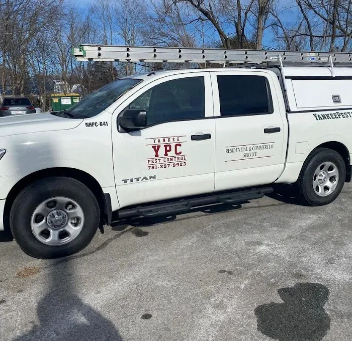 Yankee Pest Control Picture 9