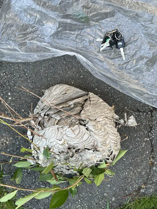 General Environmental Services Picture 8
