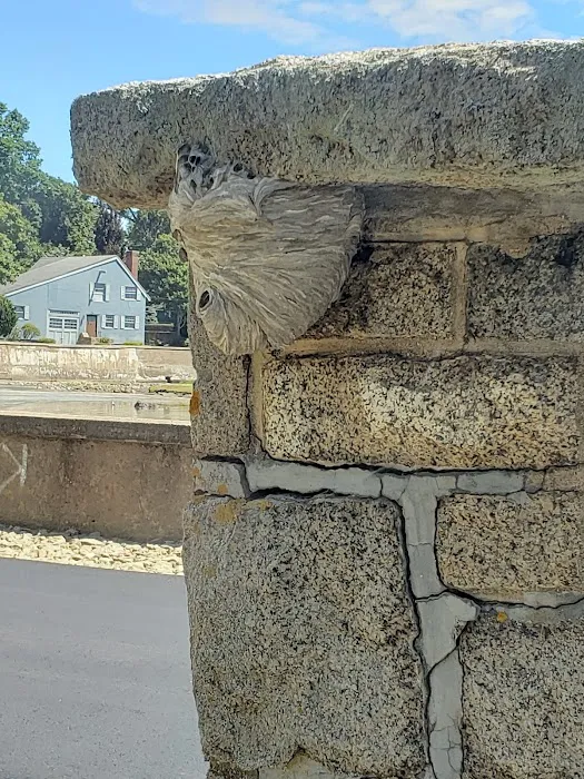 Advantage Pest Control, Inc Picture 1