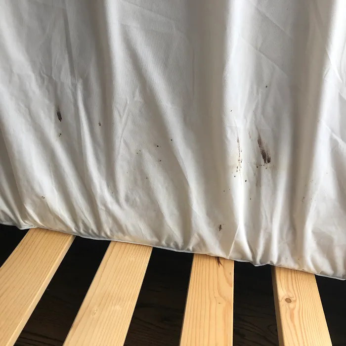 Boston Best Pest Control Picture 7
