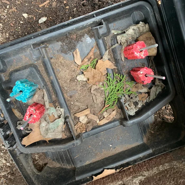 Boston Best Pest Control Picture 6