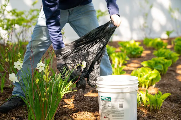 B & B Pest Control Picture 4