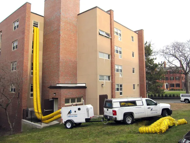 A1 Exterminators Picture 10