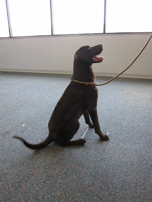 Sniff K9s Picture 4