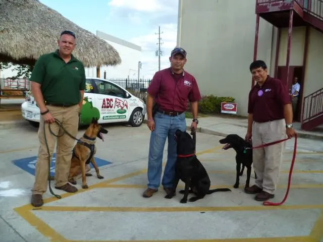 Sniff K9s Picture 7