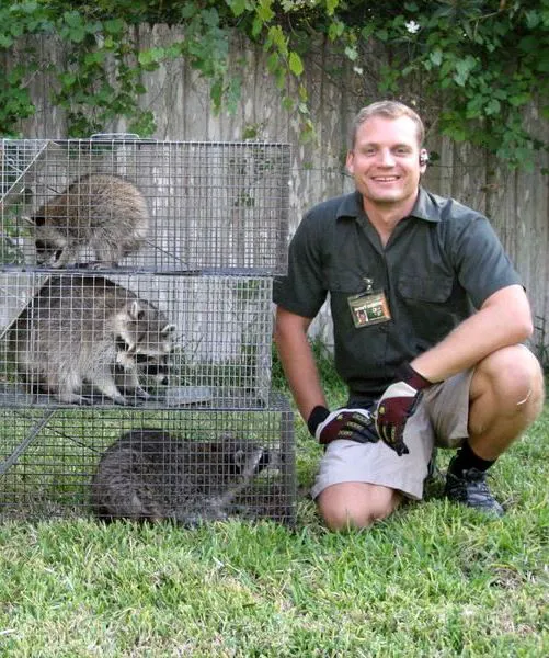 Boston Wildlife Pest Control Picture 6