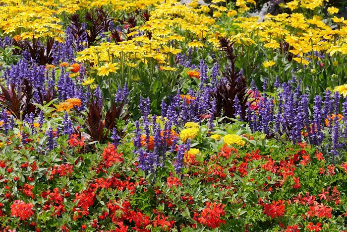 Cooper Landscaping Inc Picture 5