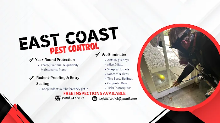 East Coast Pest Control Picture 3