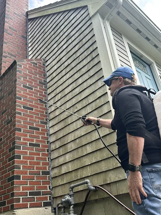 East Coast Pest Control Picture 7