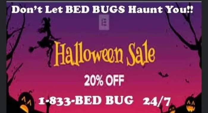 Crown Heat Bed Bug Eliminators Picture 6