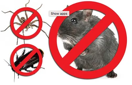 Solomon's Termite & Pest Control Picture 4