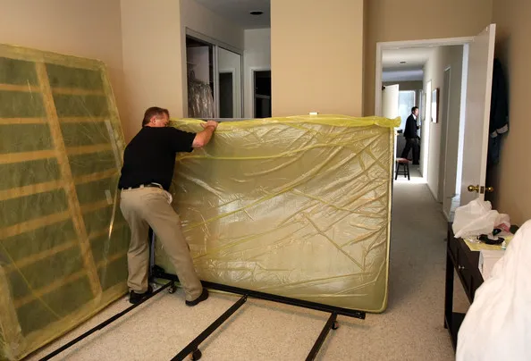 Bed Bug Exterminator Baltimore Picture 3