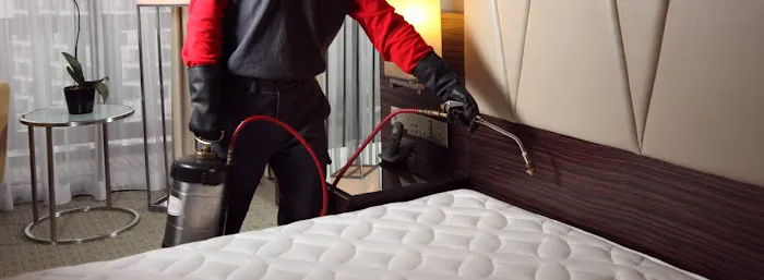Bed Bug Exterminator Baltimore Picture 2