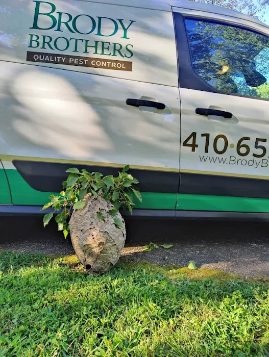 Brody Brothers Pest Control in Owings Mills Picture 1